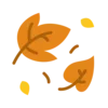 🍂