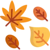 🍂