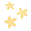 🌼