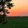 🌅