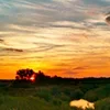 🌅