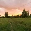 🌅