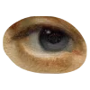 🤎
