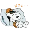 💤