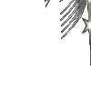 ⭐