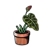 🍀