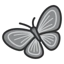 🦋