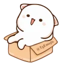📦