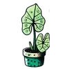 🍀