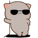😎