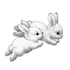 🐰