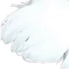 ⭐