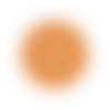 🟠