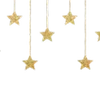 🌟