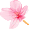 🌸
