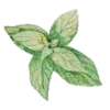 🌱