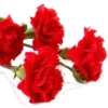 🌺