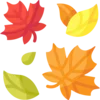 🍂