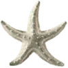 ⭐
