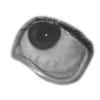 👁