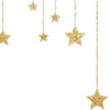 🌟