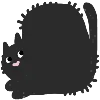 🐈‍⬛