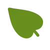 🍃