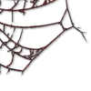 💿