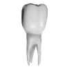 🦷