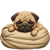 🐶