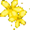 🌼