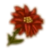 🌺