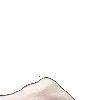 ⭐️