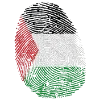 🇵🇸