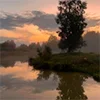🌅