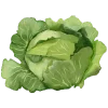 🥬