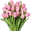 🌷