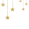 🌟