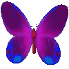 🦋