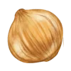 🧅