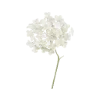 🌷
