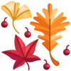 🍂