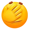 🤦‍♂️