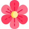🌸