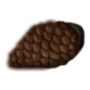 🌰