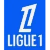🇫🇷