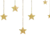 🌟