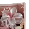 🎀