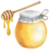 🍯