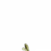 😶‍🌫️